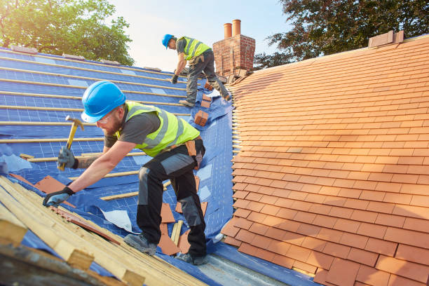 Best Roof Moss and Algae Removal  in North Lynnwood, WA
